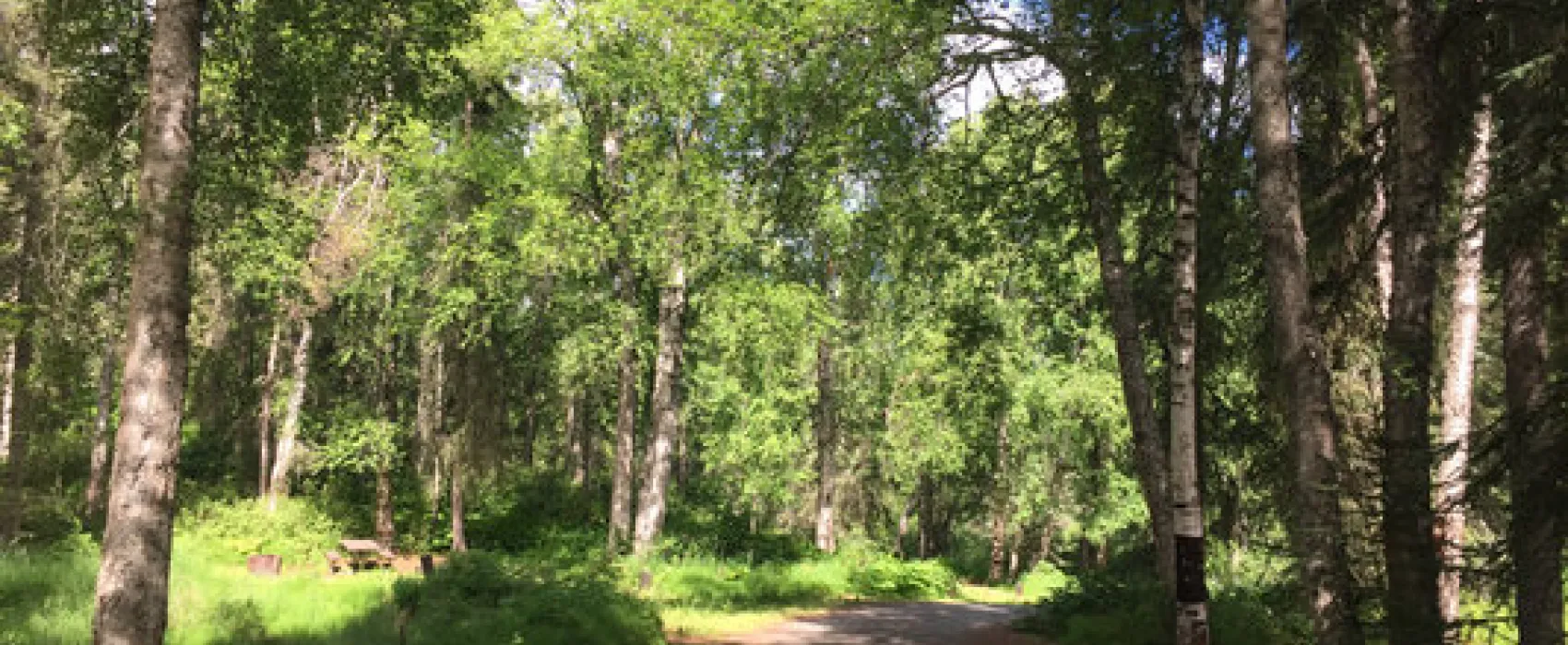 South Rolly Lake Campground