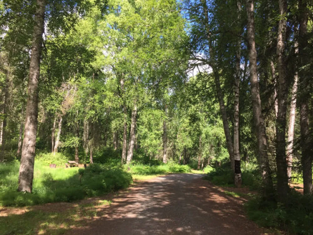 South Rolly Lake Campground