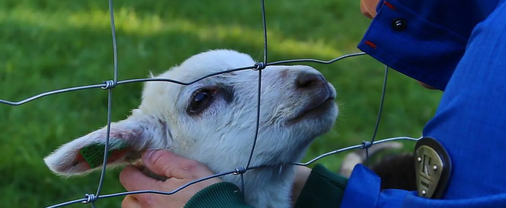 Flateland Camping Og Hyttesenter