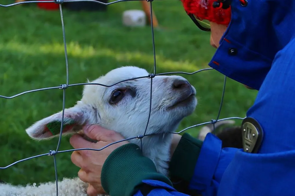 Flateland Camping Og Hyttesenter