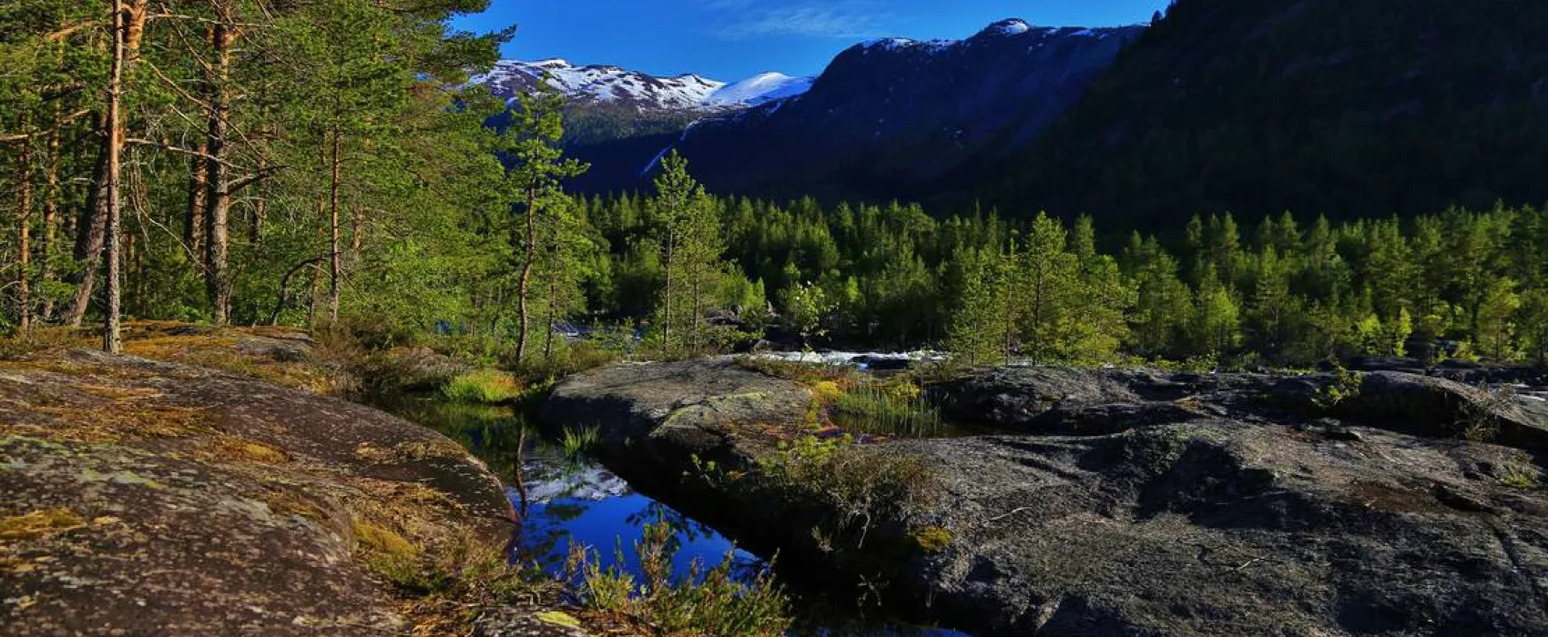 Flateland Camping Og Hyttesenter