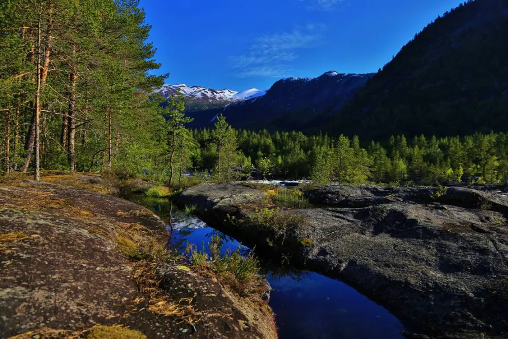 Flateland Camping Og Hyttesenter