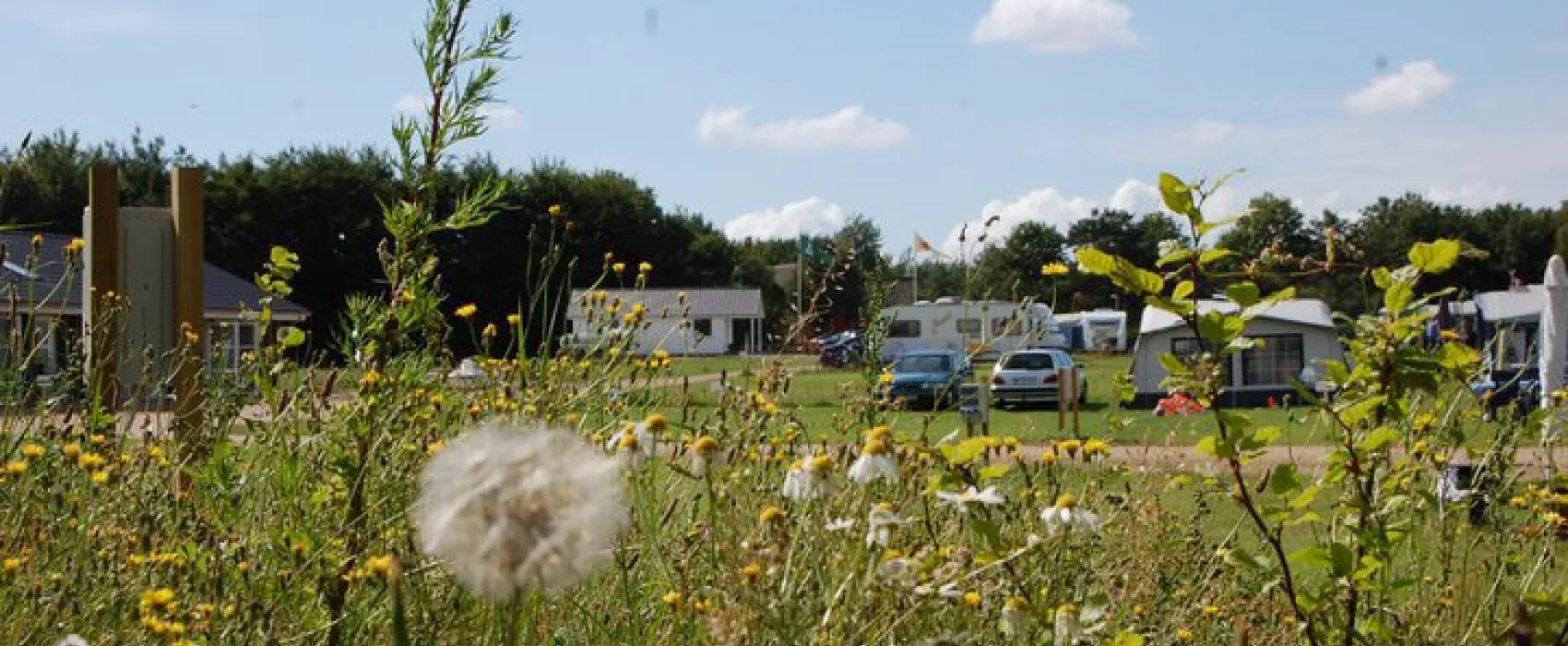 Arrild Ferieby Camping