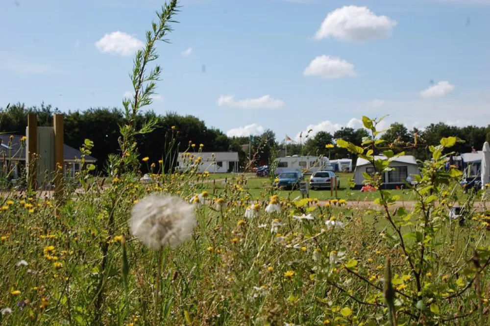 Arrild Ferieby Camping