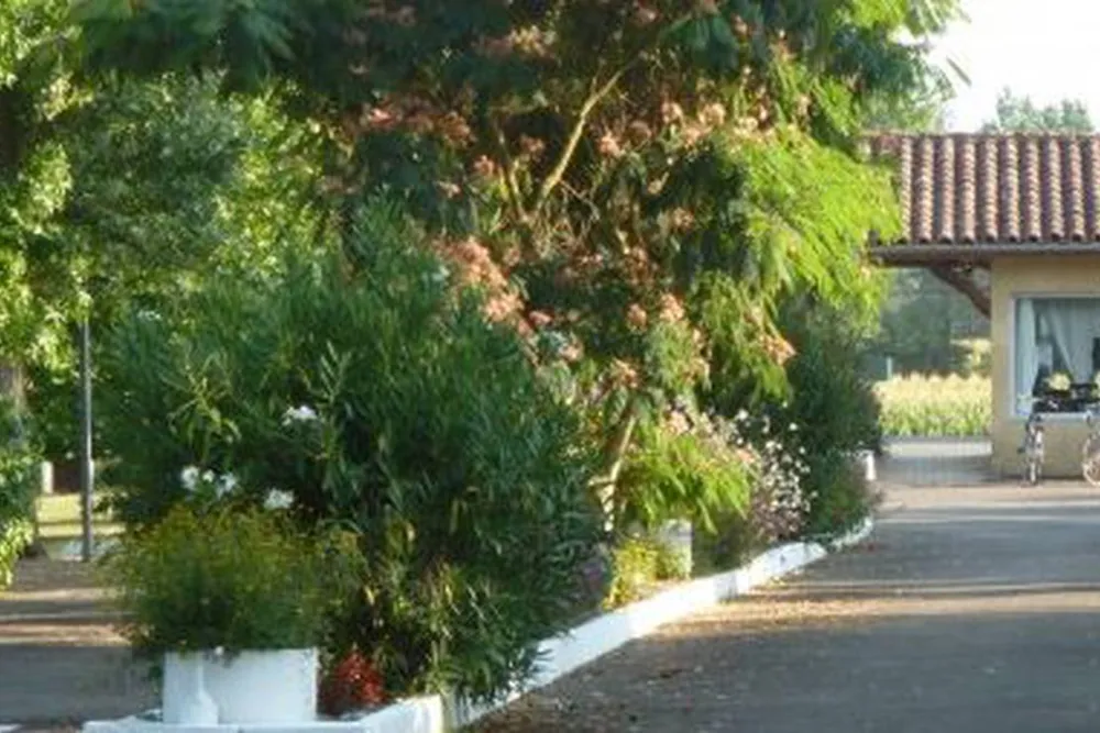 Camping Les Berges du gers