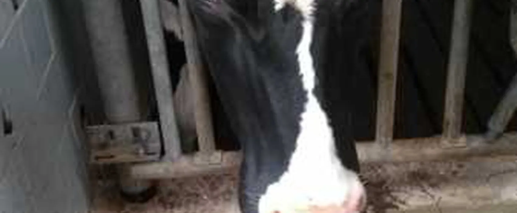 SVR Camping De Boersberg