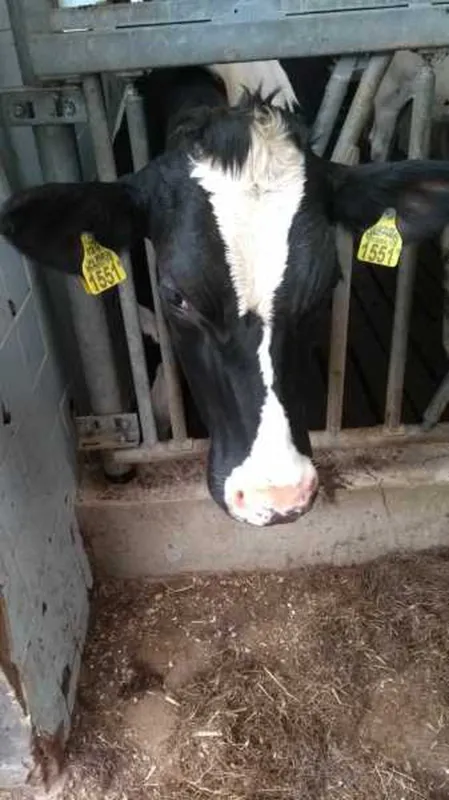 SVR Camping De Boersberg