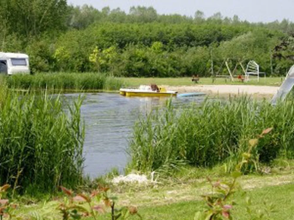 Brongaard (naturisten camping)