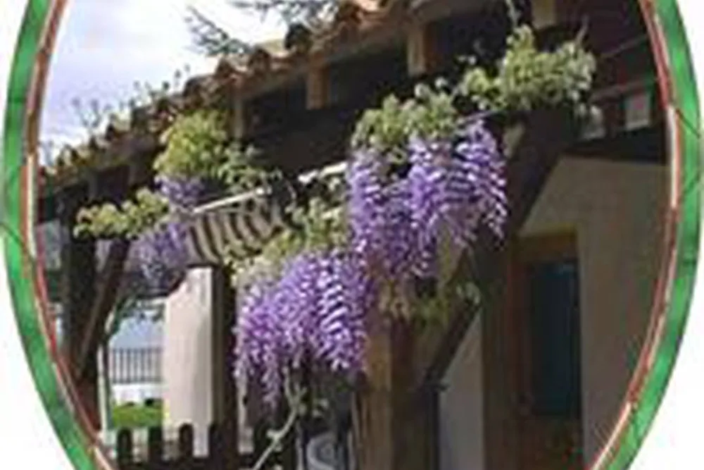 Camping Clos des Oiseaux