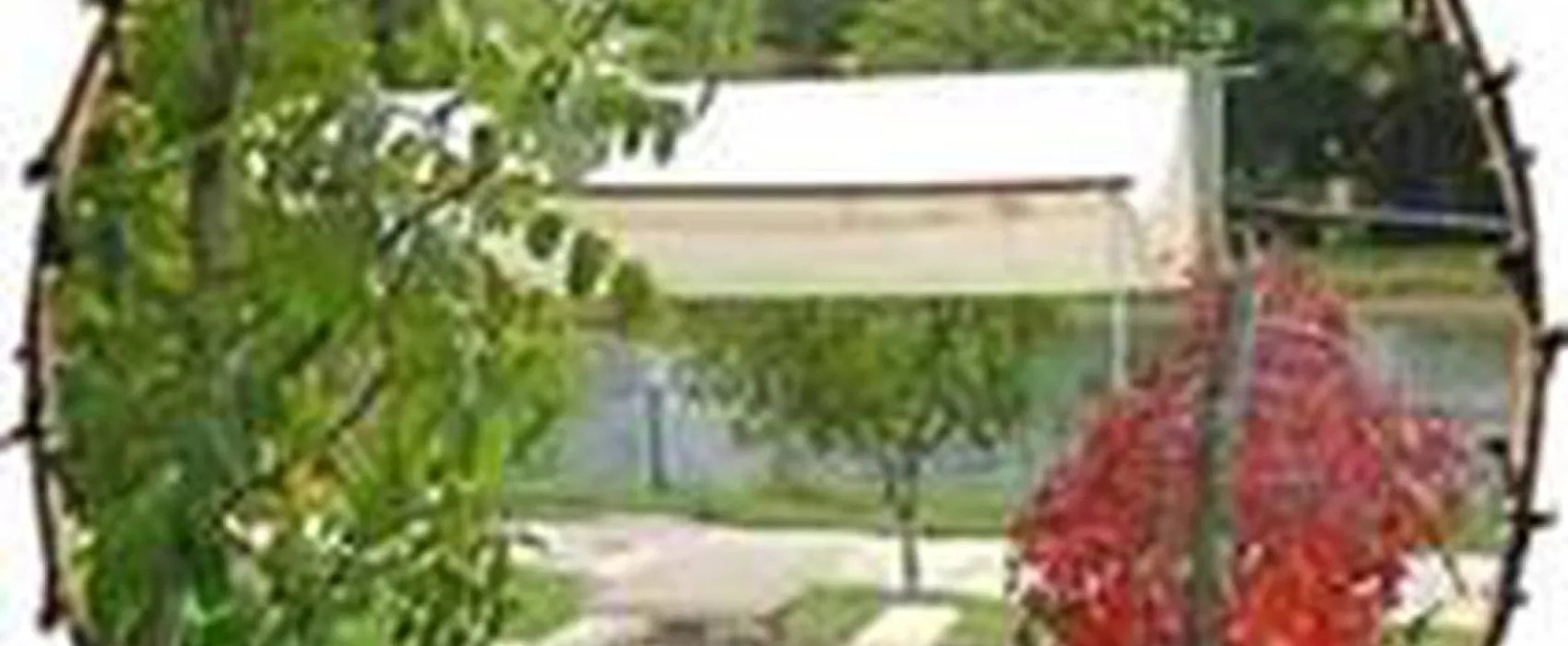 Camping Clos des Oiseaux