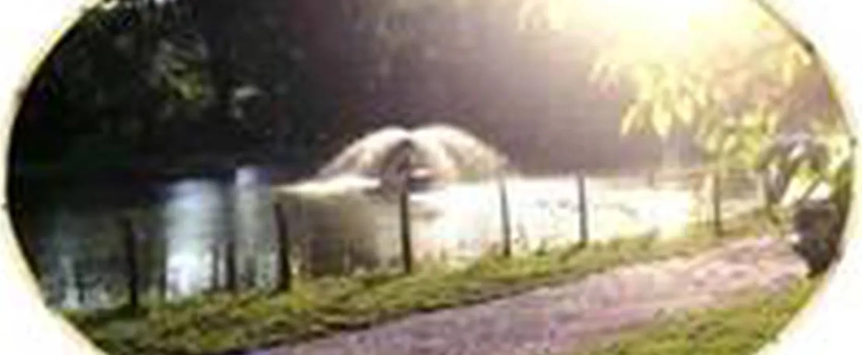 Camping Clos des Oiseaux