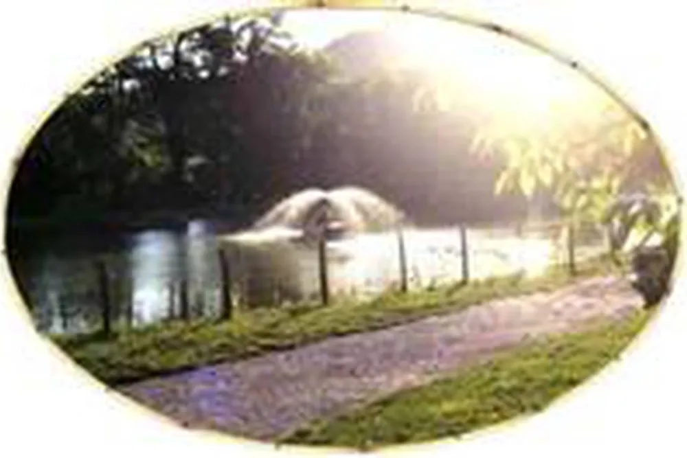 Camping Clos des Oiseaux