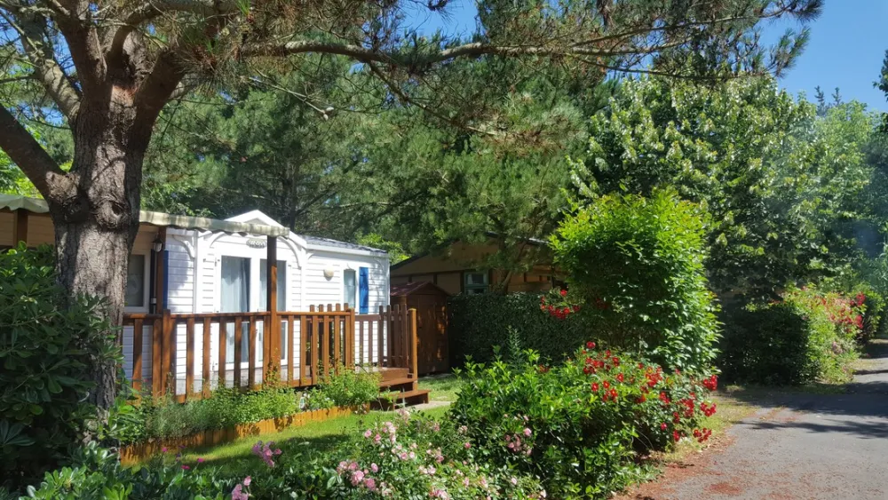 Les Cabanes d’Oléron