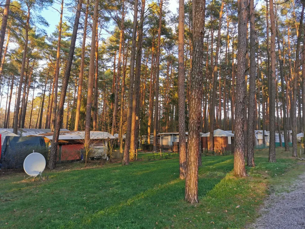 Waldcamping Am Großsee