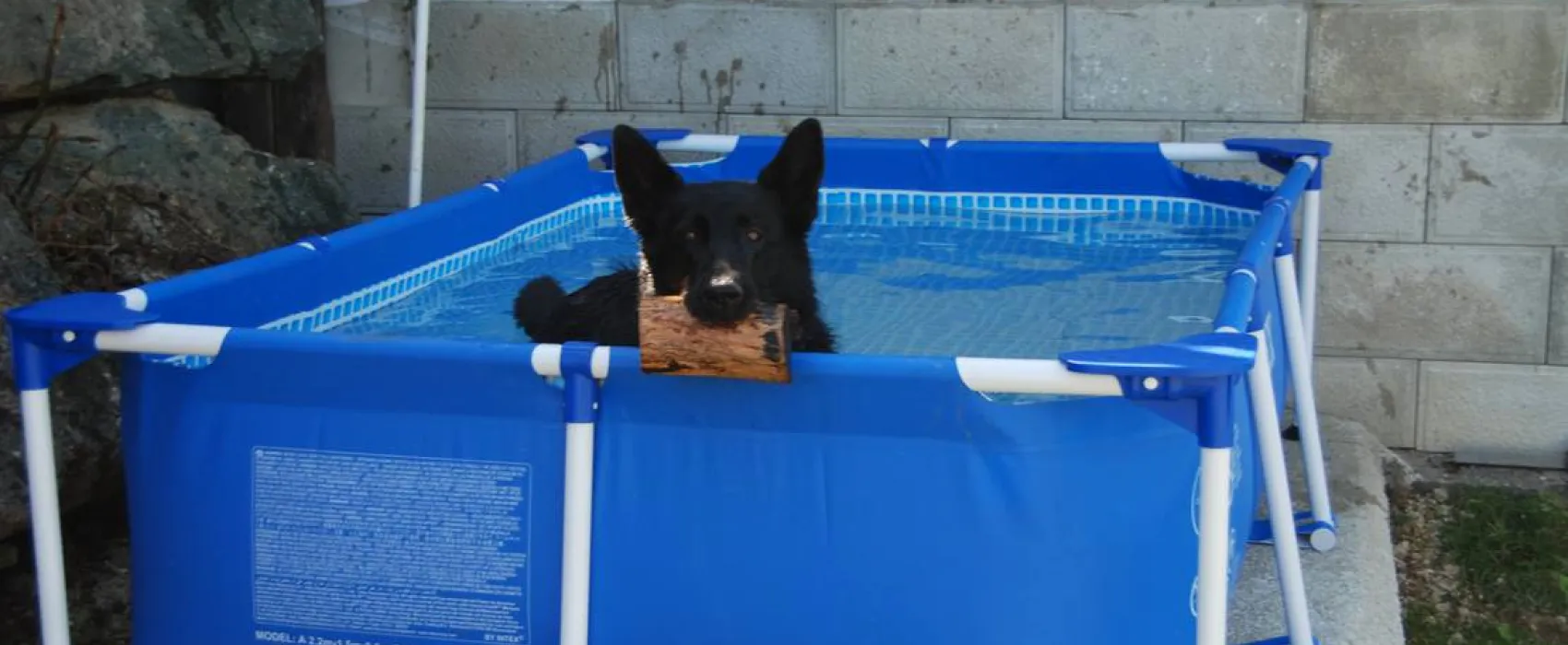 Weinberg-.Naturpark-.Panoramacamping Sausalerland