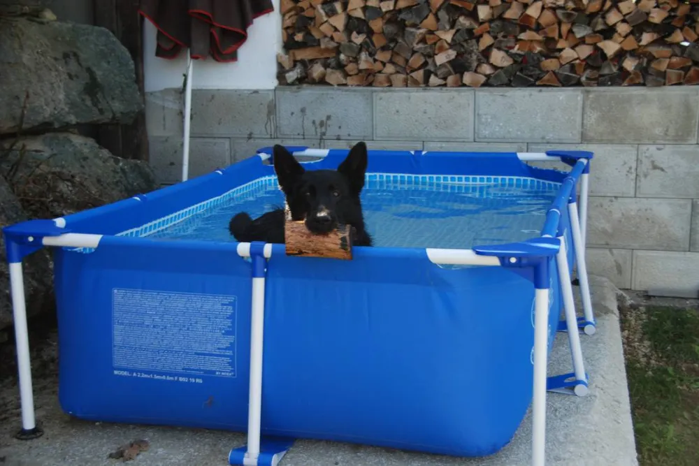 Weinberg-.Naturpark-.Panoramacamping Sausalerland