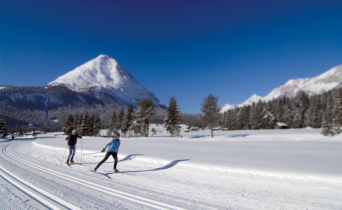Alpin photo 5