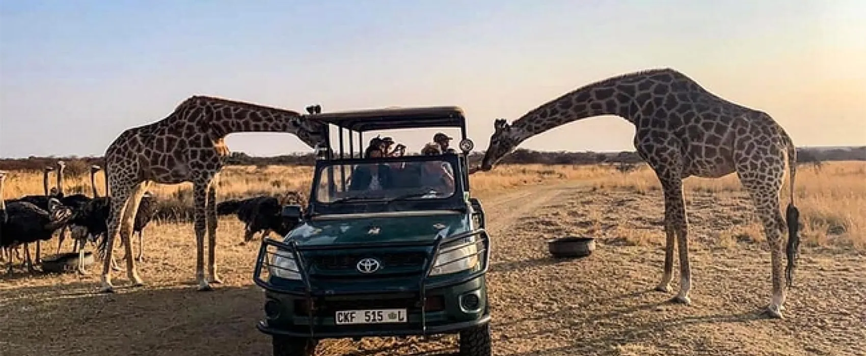 Sondela Moselesele Tent Camp