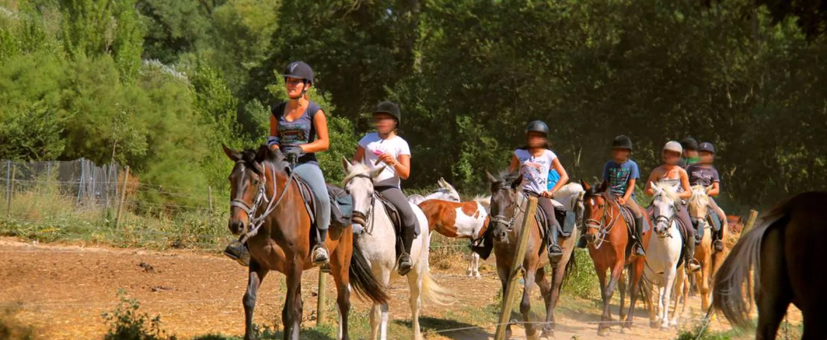 Camping A L'ombre Des Oliviers