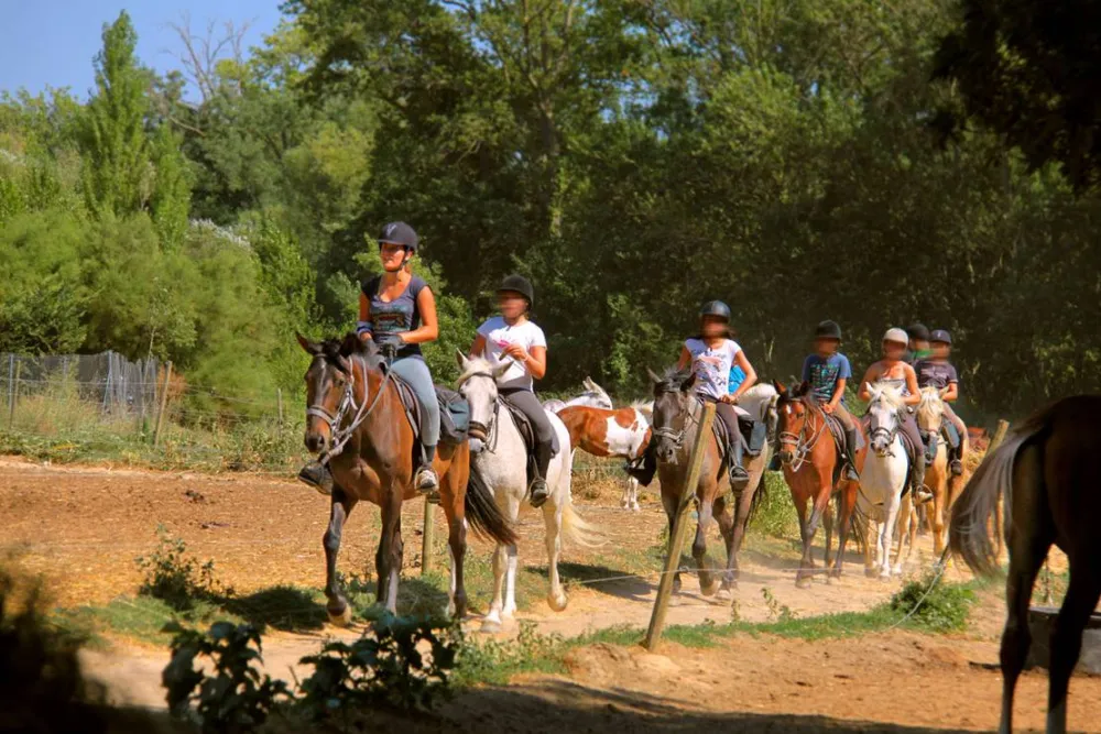 Camping A L'ombre Des Oliviers