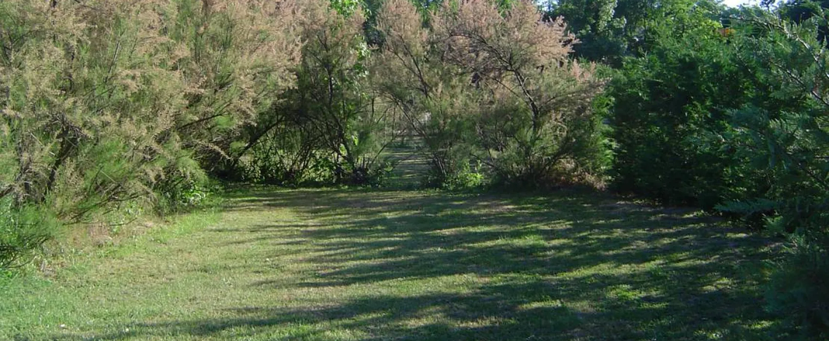 Camping A L'ombre Des Oliviers