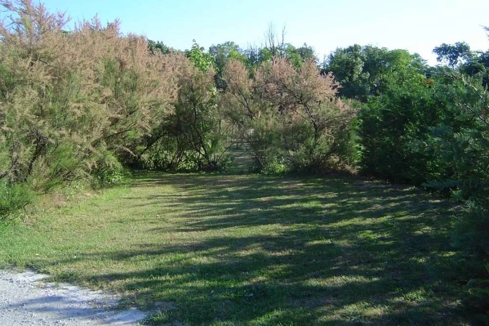 Camping A L'ombre Des Oliviers