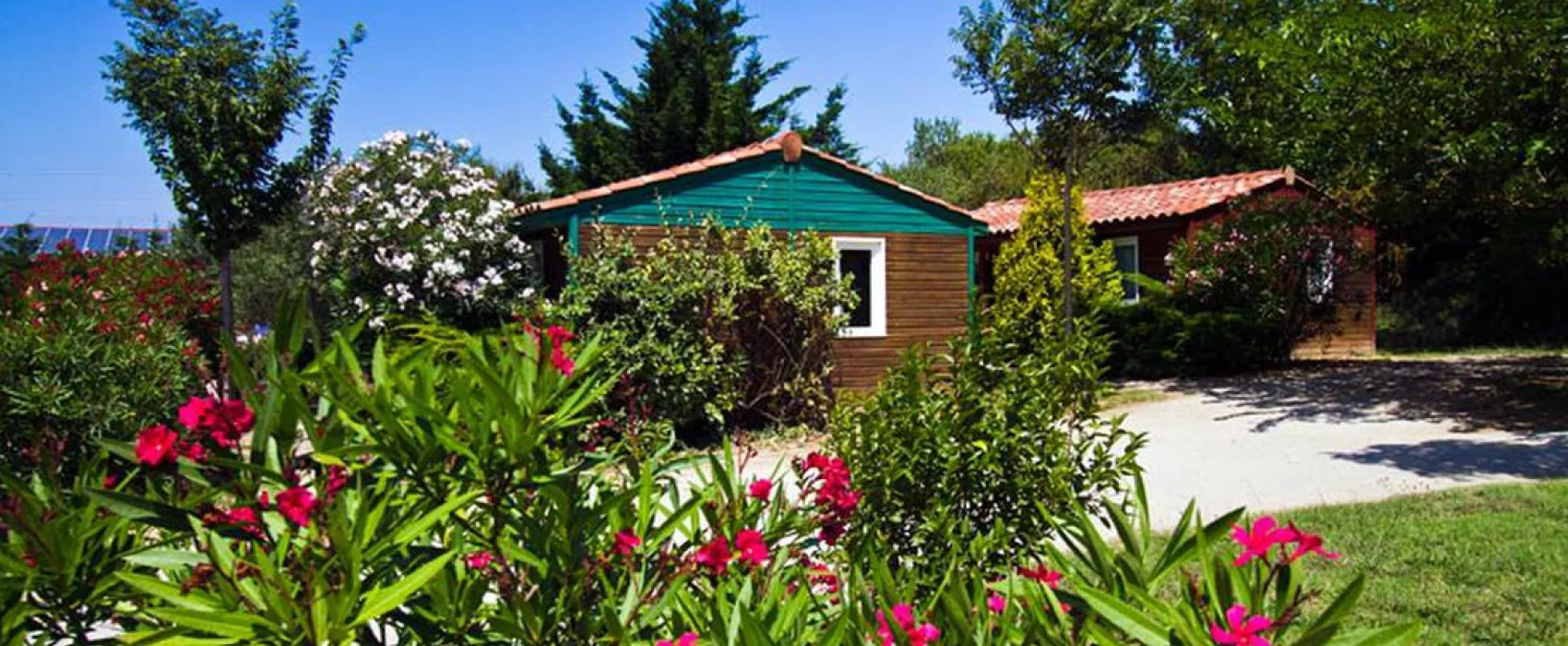 Camping A L'ombre Des Oliviers