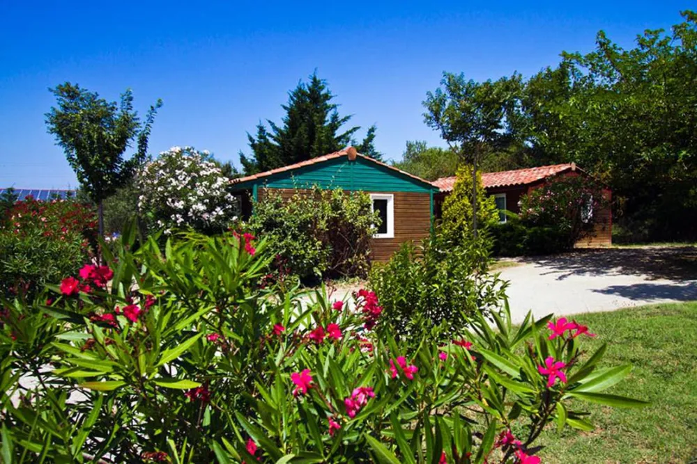 Camping A L'ombre Des Oliviers