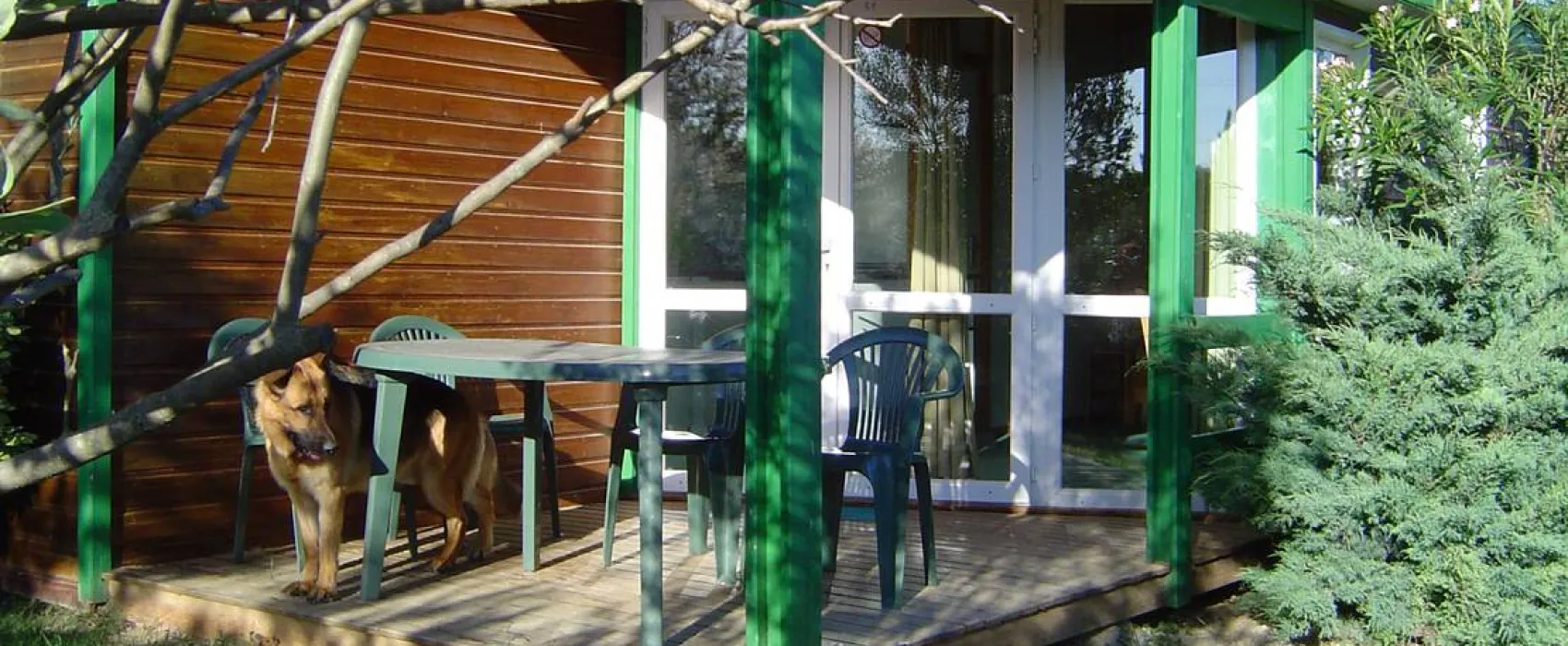 Camping A L'ombre Des Oliviers