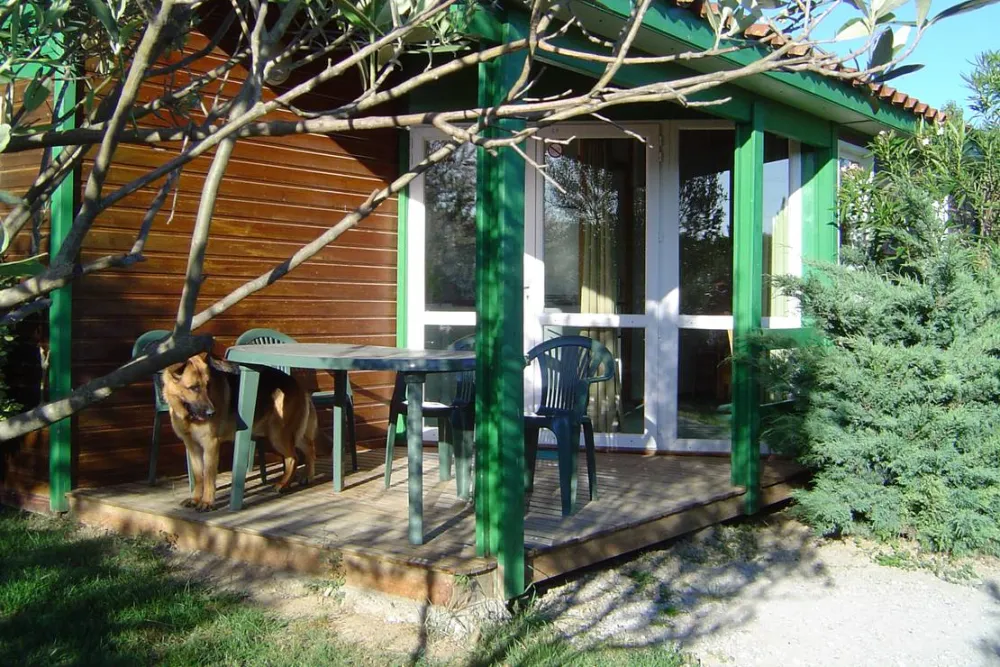 Camping A L'ombre Des Oliviers