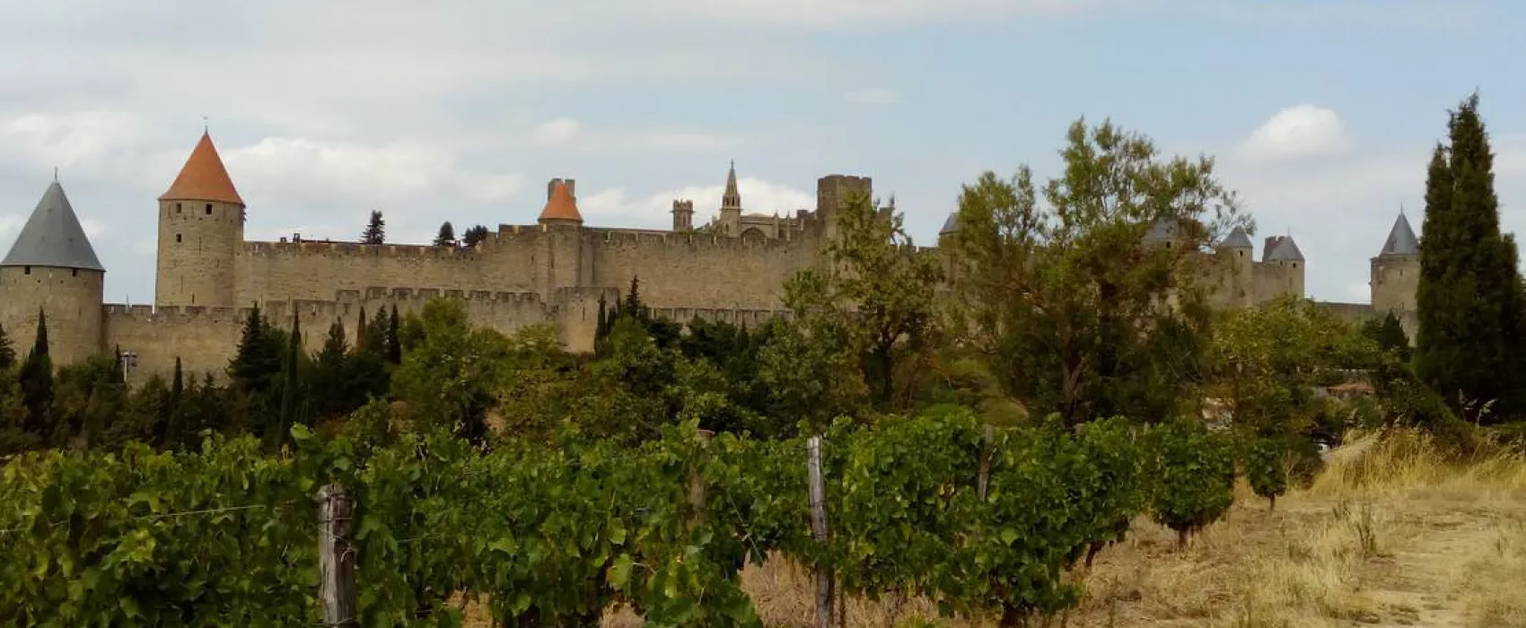 Camping A L'ombre Des Oliviers