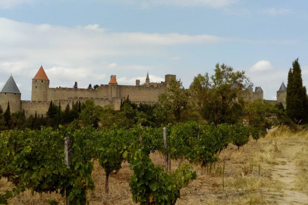 Camping A L'ombre Des Oliviers