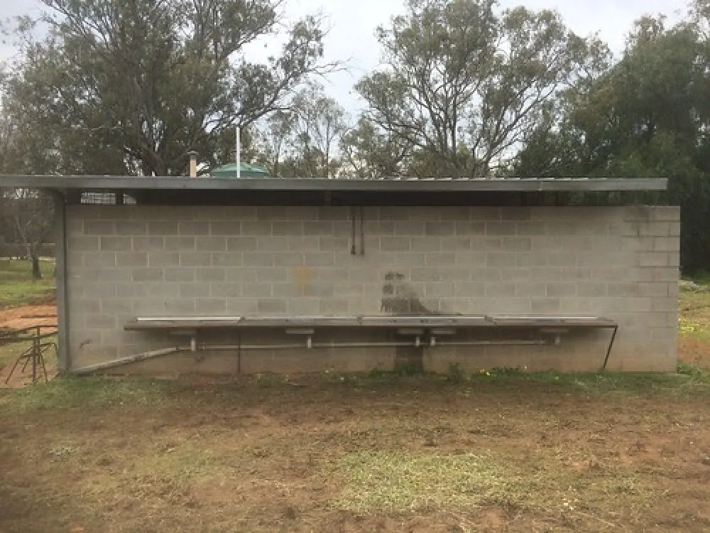 Nyah State Forest Campground