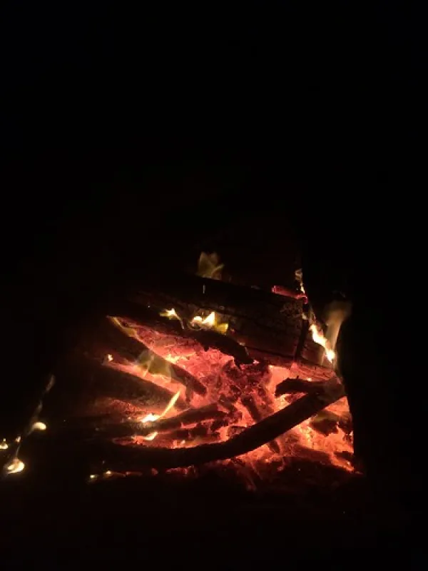 Nyah State Forest Campground