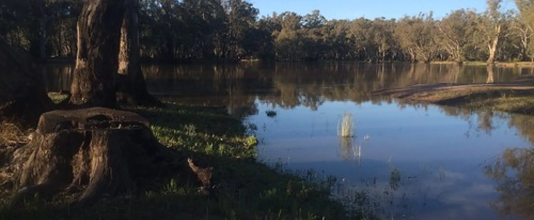 Nyah State Forest Campground