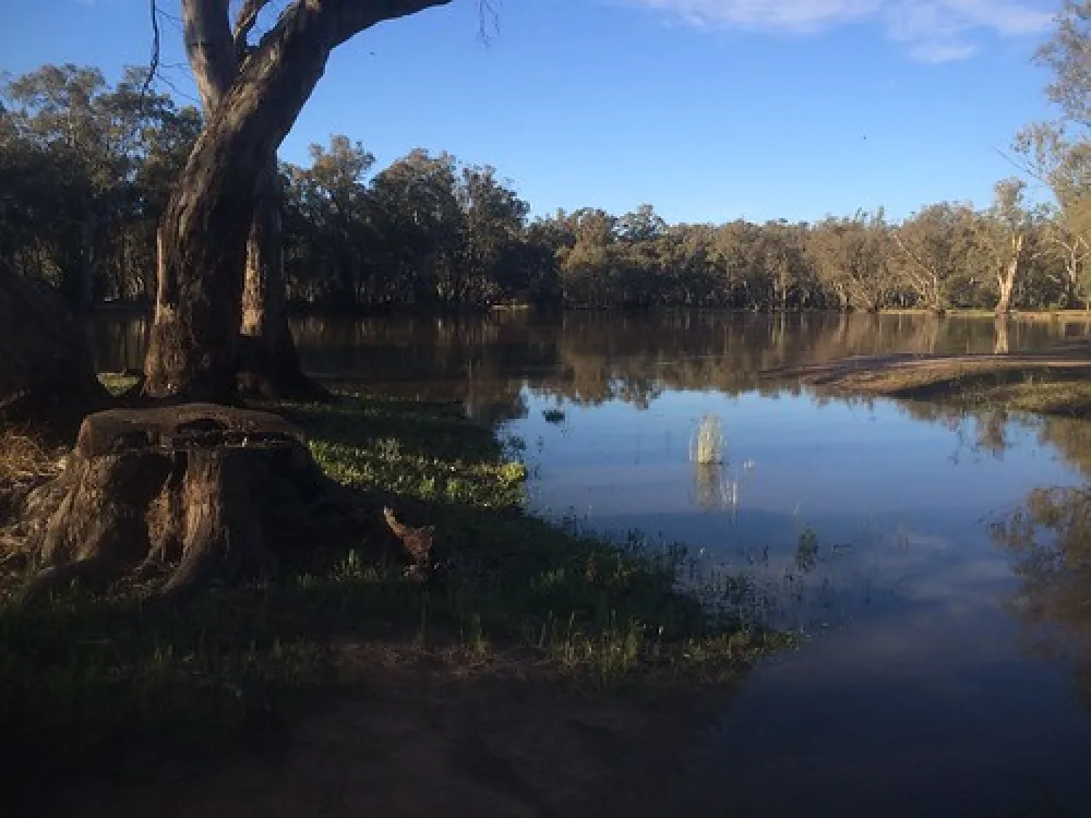 Nyah State Forest Campground