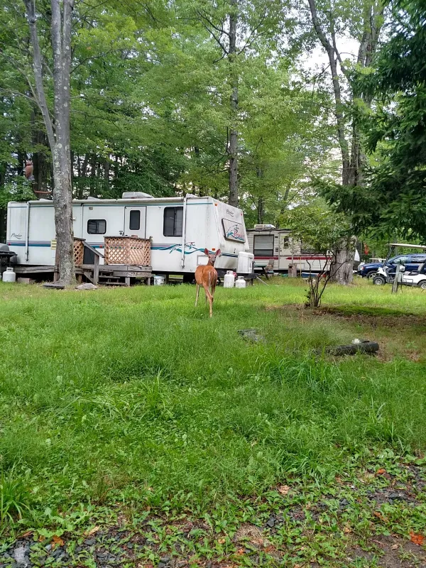 Secluded Acres Campground