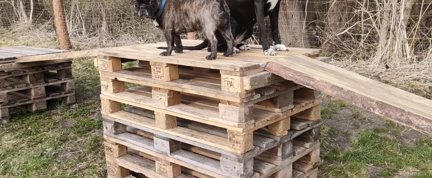 Campinghof Am Grünen Baum