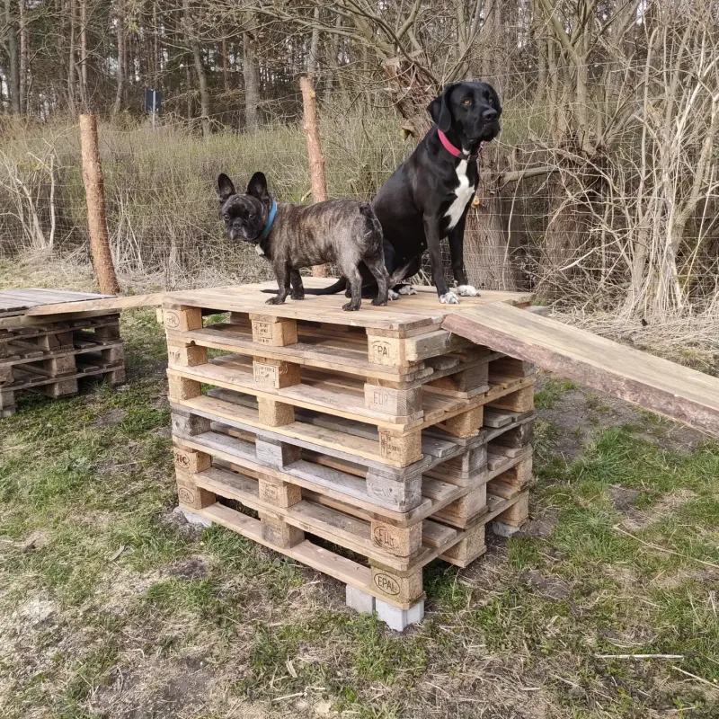 Campinghof Am Grünen Baum