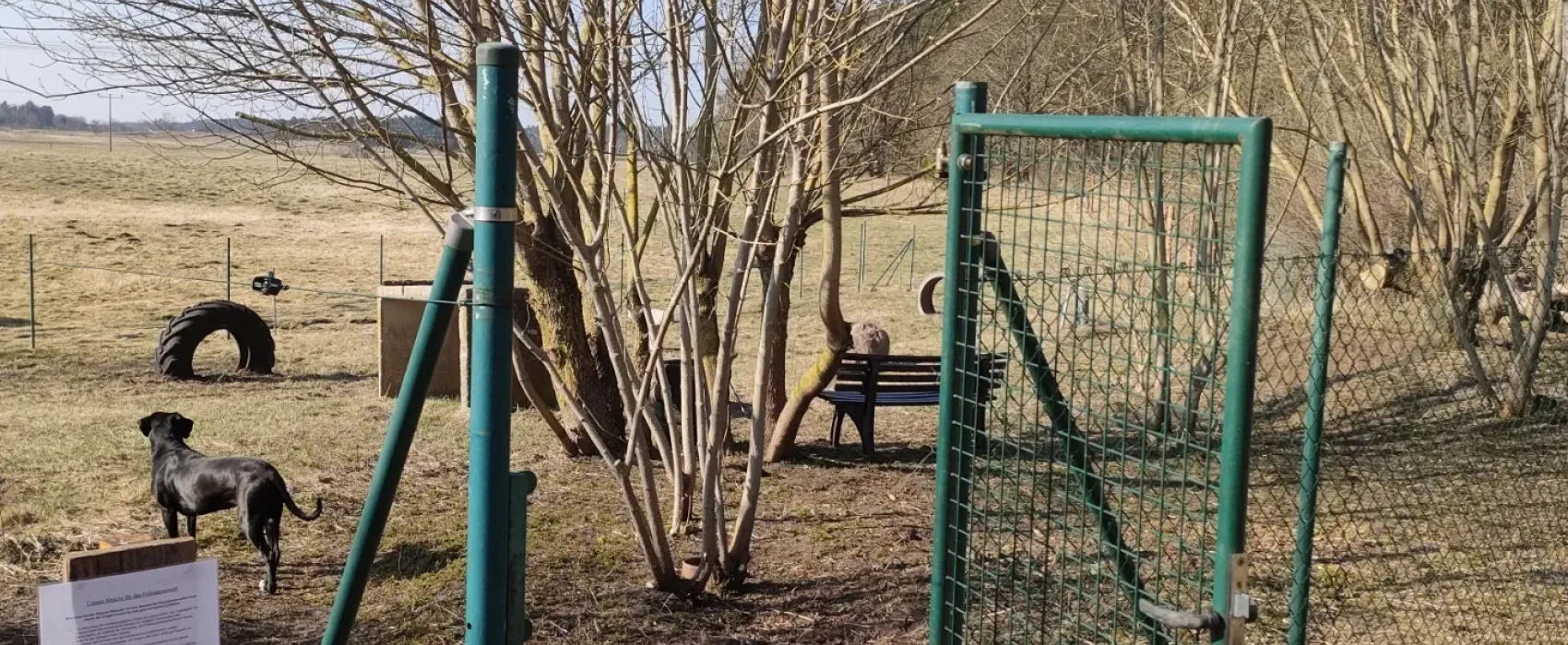 Campinghof Am Grünen Baum
