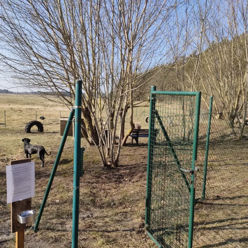 Campinghof Am Grünen Baum