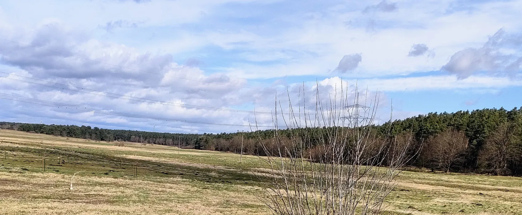 Campinghof Am Grünen Baum