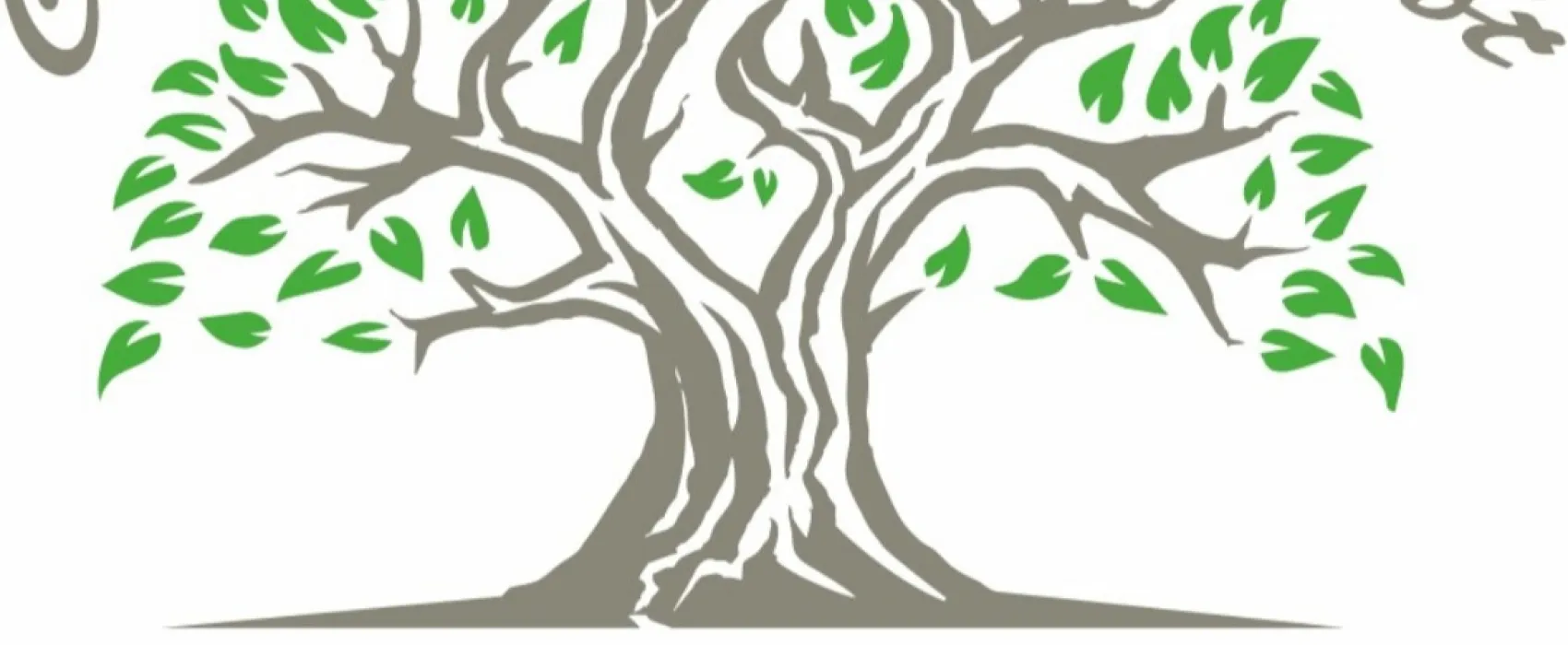 Campinghof Am Grünen Baum