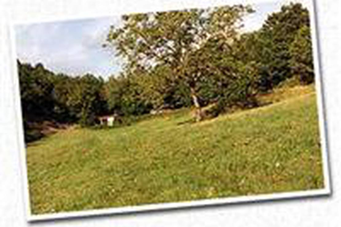 Camping A La Ferme Chez Sylvie Et Serge photo 3