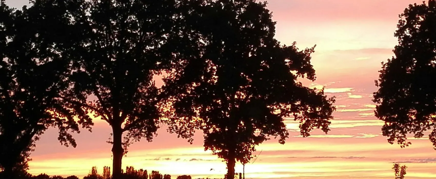 Minicamping 't Brenneke