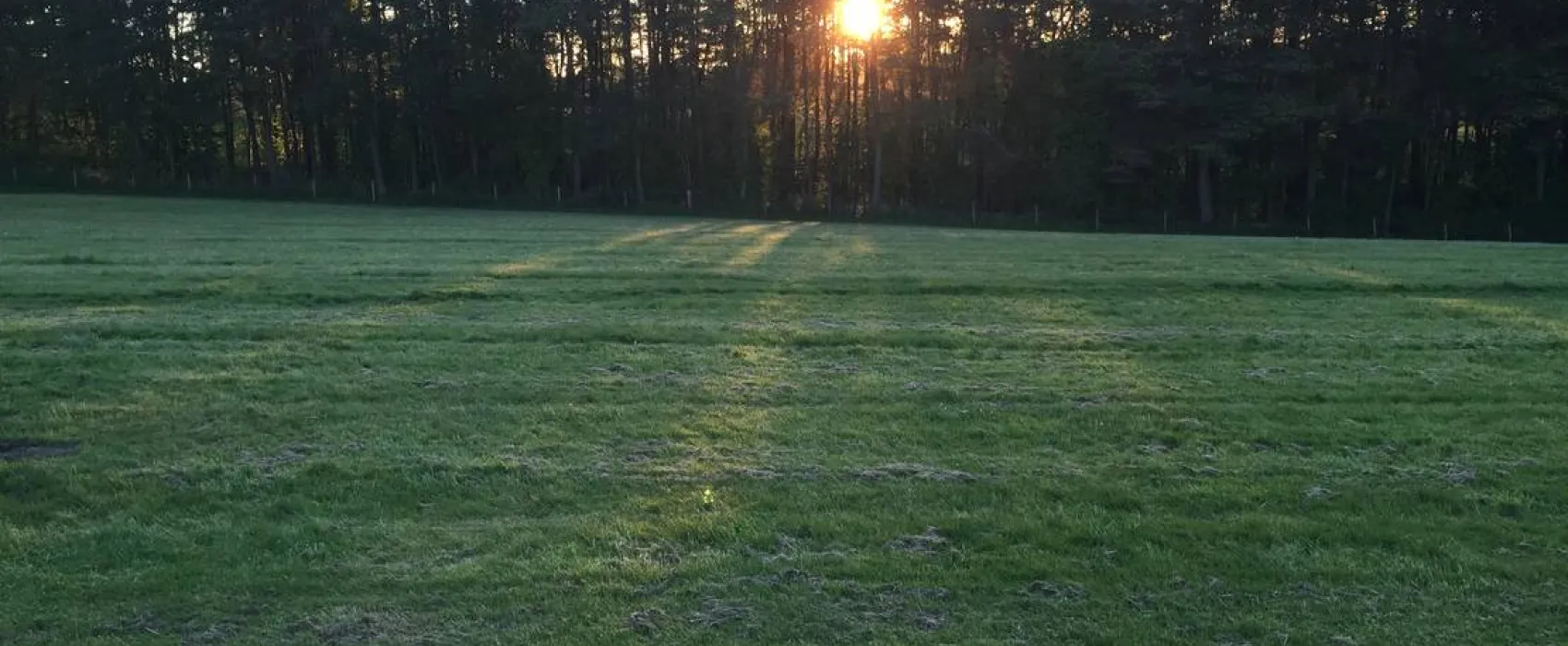 Breaks Fold Farm Glamping and Camping