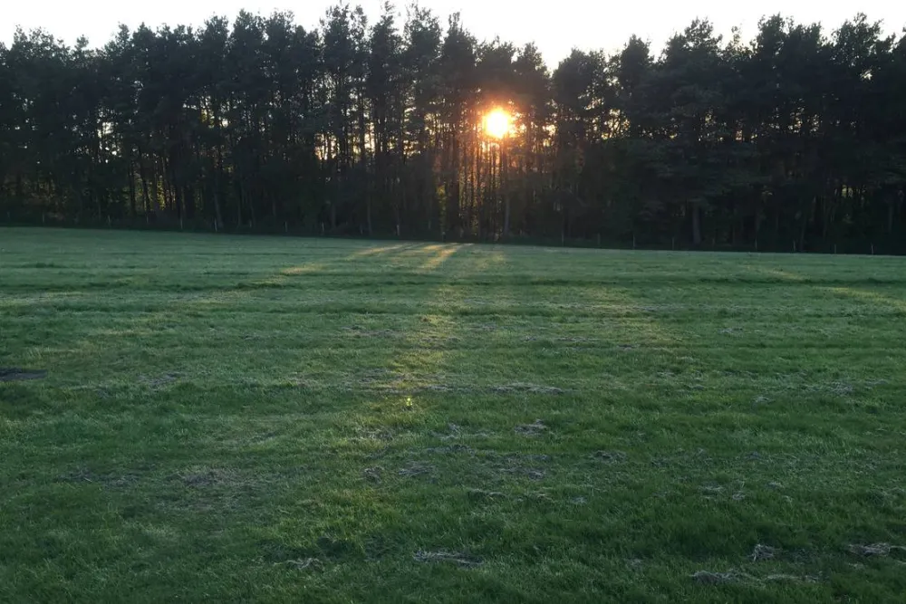 Breaks Fold Farm Glamping and Camping