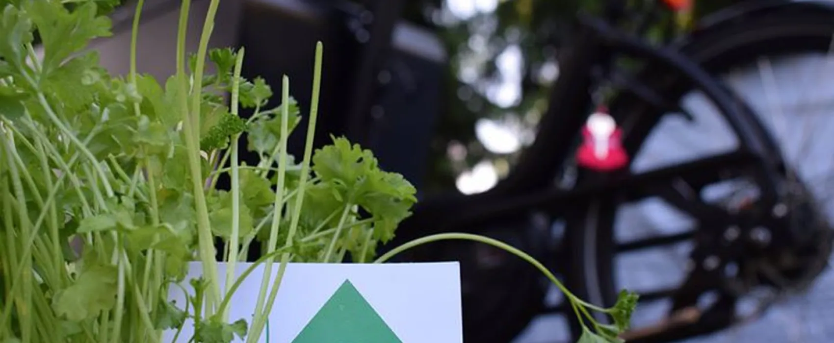 Minicamping tussen de dijken Tiel