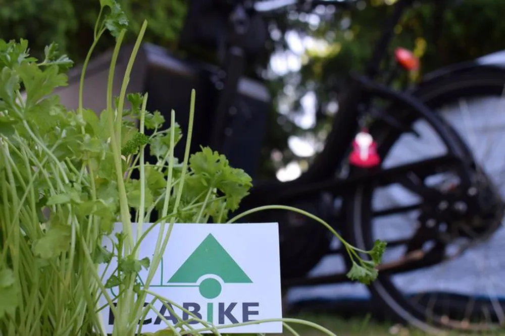 Minicamping tussen de dijken Tiel