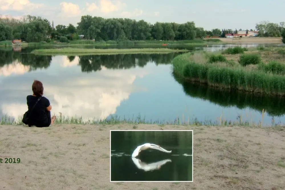 Campingplatz Prettin